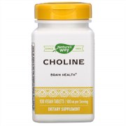 Заказать Nature's Way Choline 500 мг 100 вег. таб